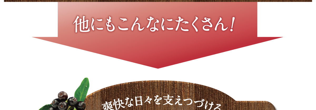 12種類の贅沢成分をドッサリ配合